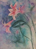 Luscious Lillies